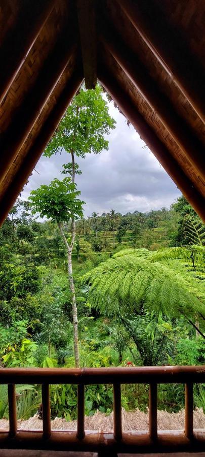 Second Home Bungalows تيتيباتو المظهر الخارجي الصورة