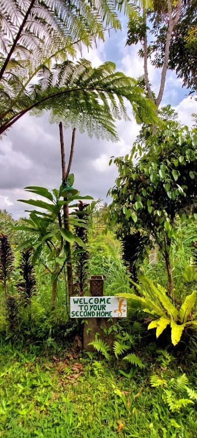 Second Home Bungalows تيتيباتو المظهر الخارجي الصورة