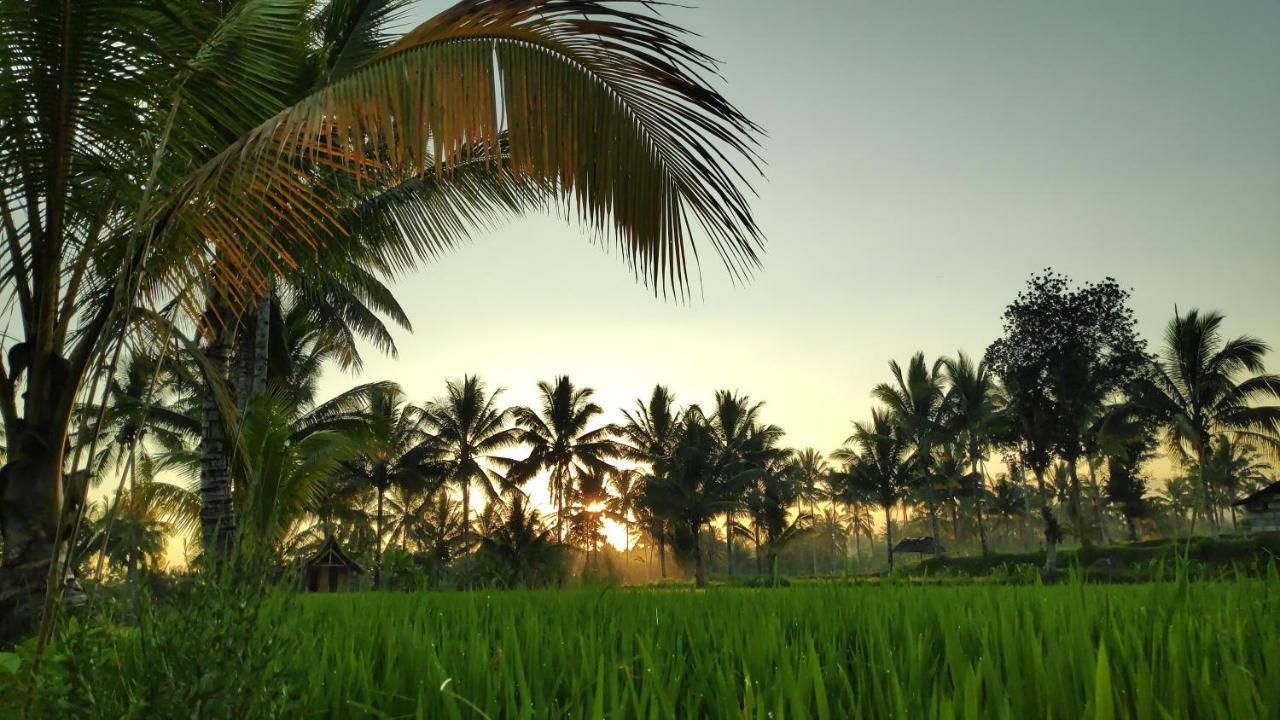 Second Home Bungalows تيتيباتو المظهر الخارجي الصورة